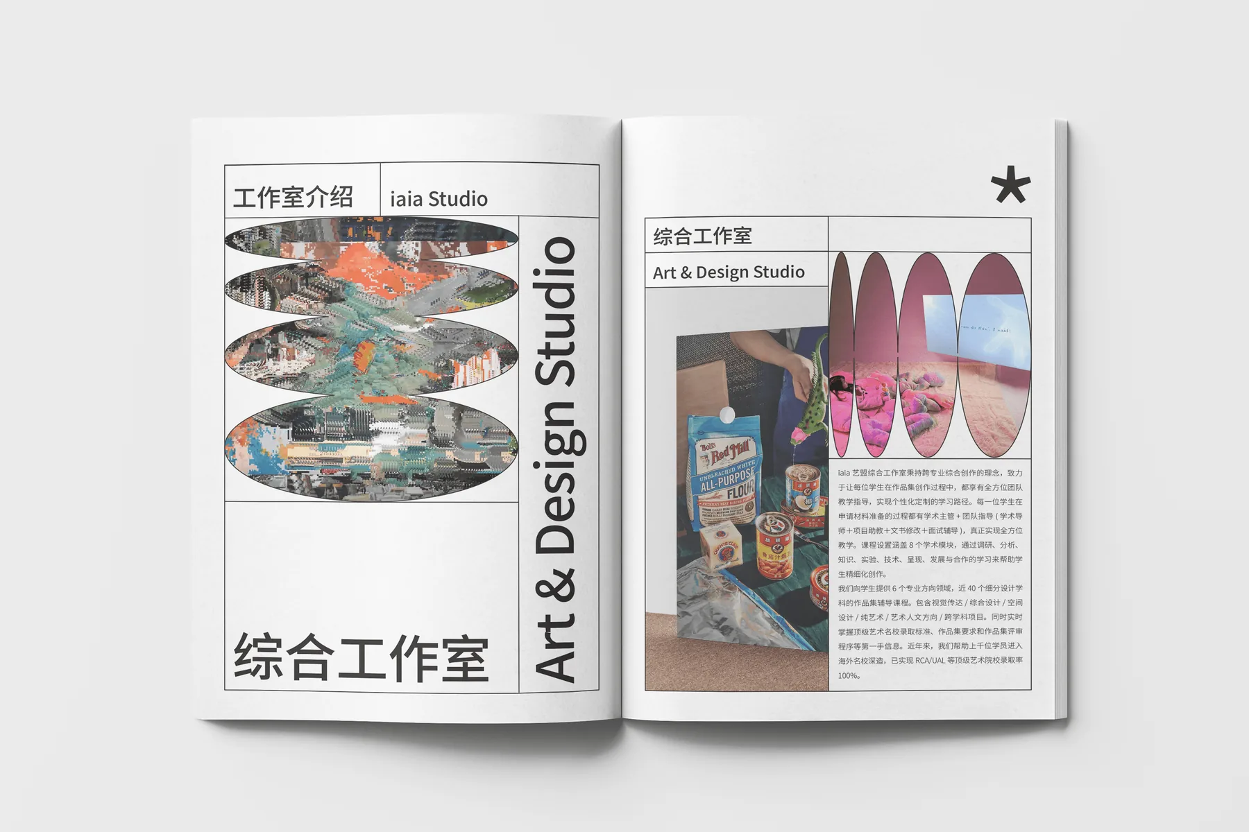 iaia Brand Book 项目图 07
