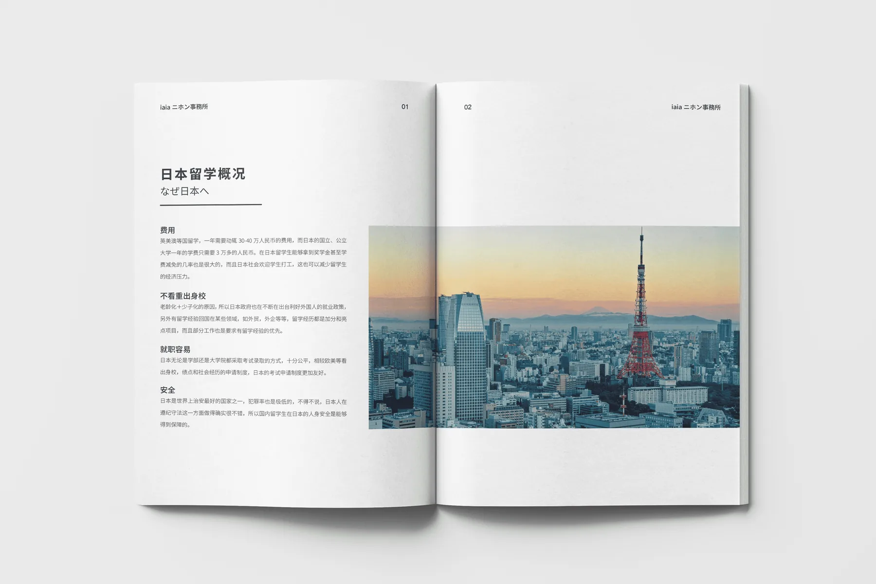 iaia Japan Brand Book 项目图 02
