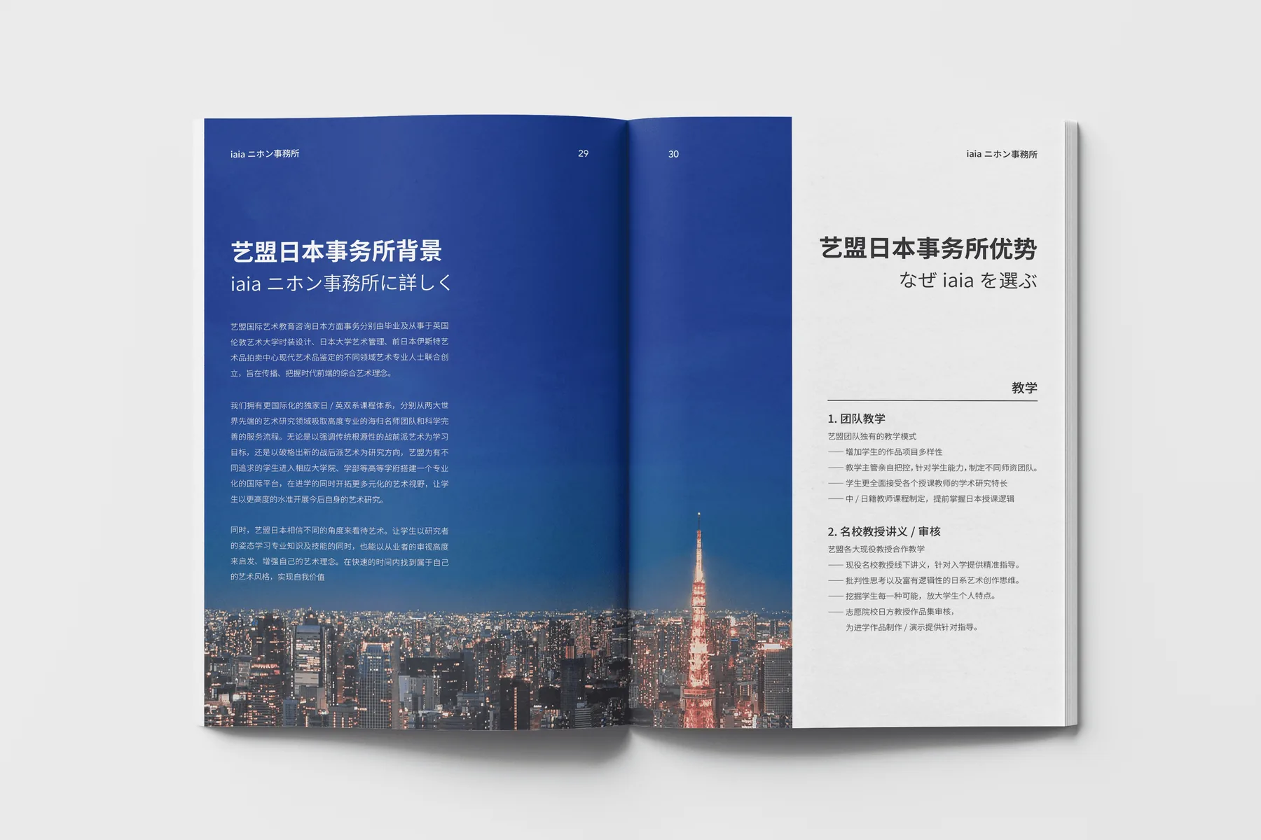 iaia Japan Brand Book 项目图 06